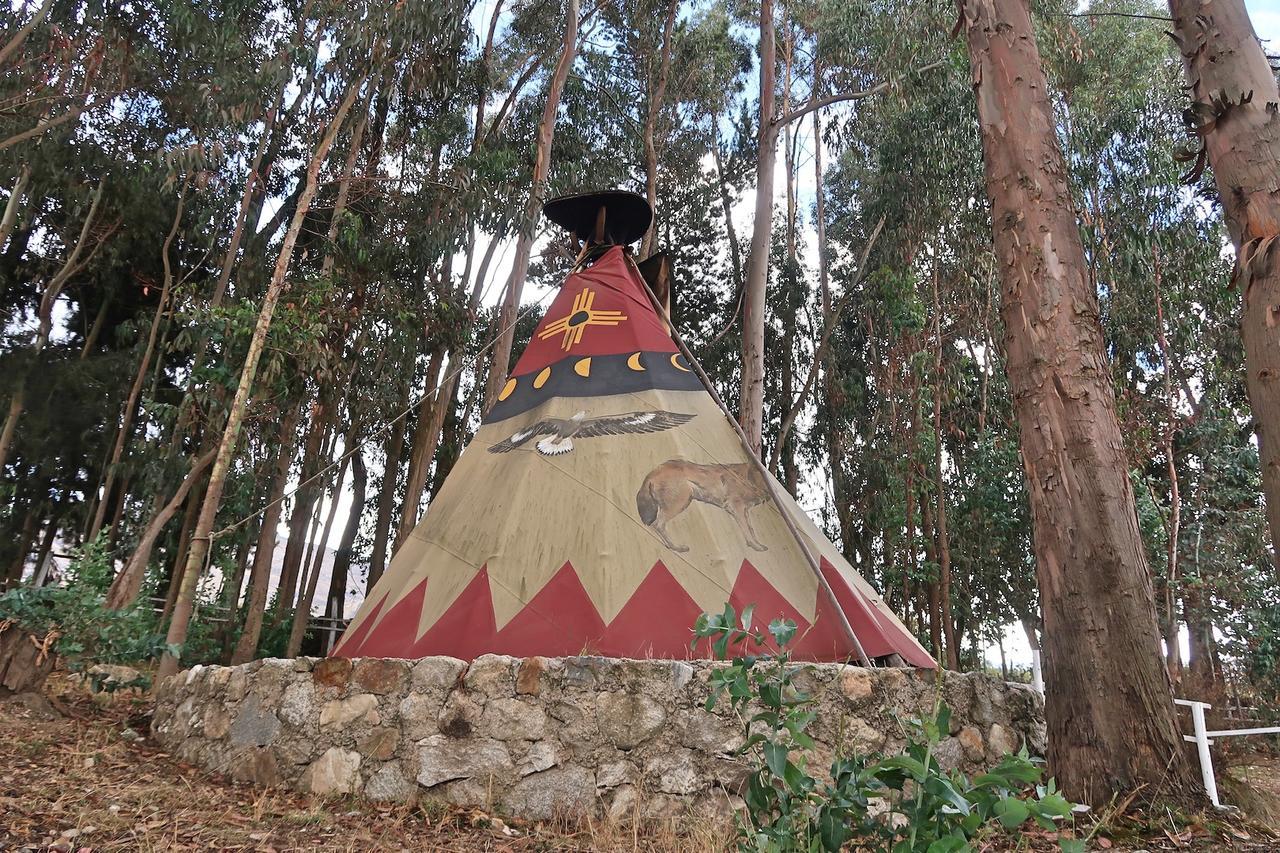 The Lazy Dog Inn A Mountain Lodge 瓦拉斯 外观 照片