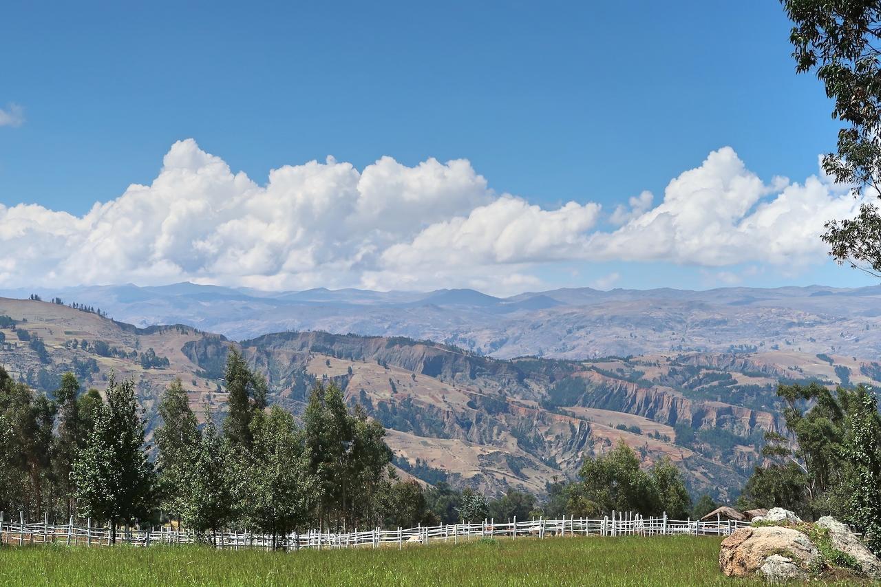 The Lazy Dog Inn A Mountain Lodge 瓦拉斯 外观 照片