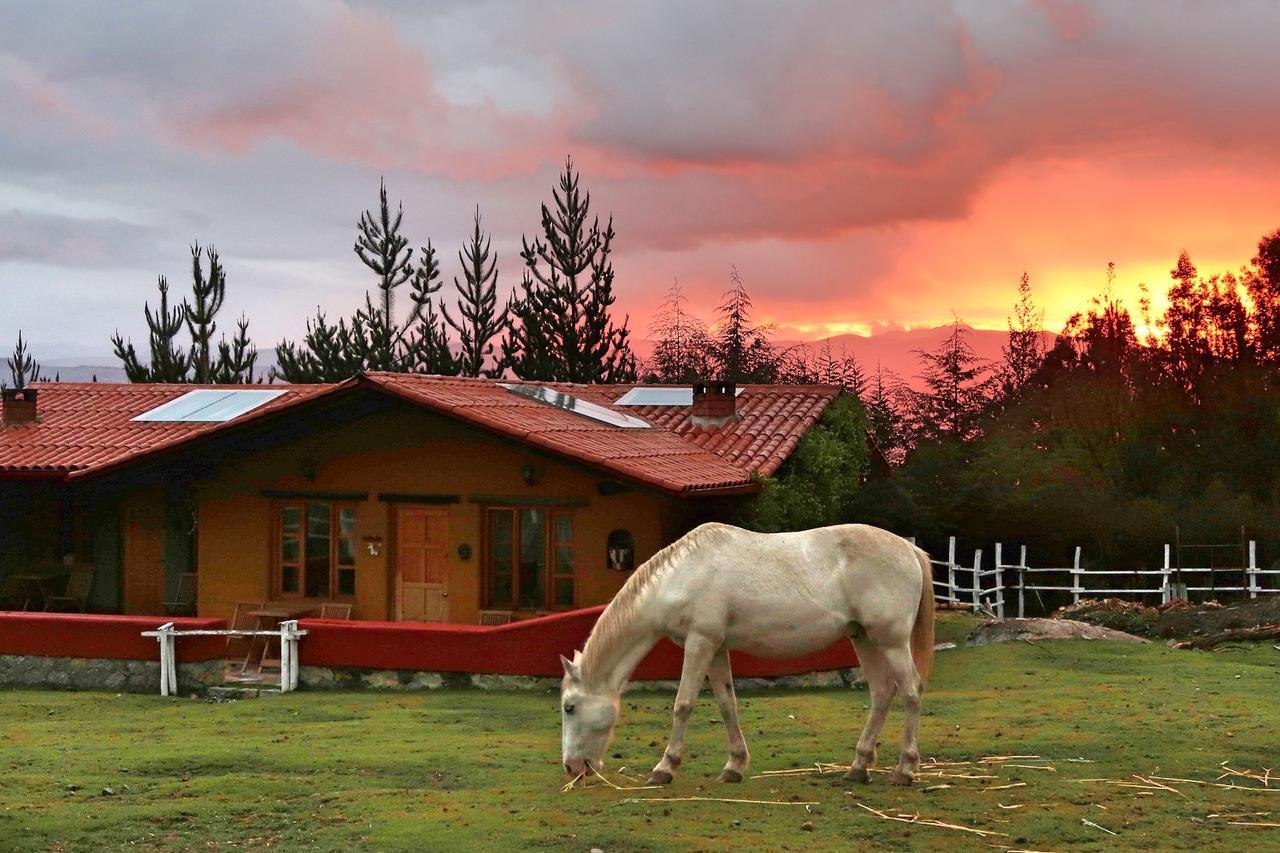 The Lazy Dog Inn A Mountain Lodge 瓦拉斯 外观 照片